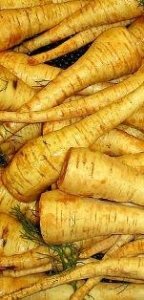 Parsnips-1